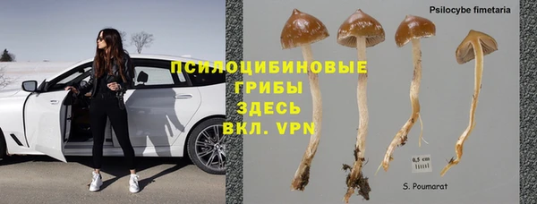 дурь Белокуриха