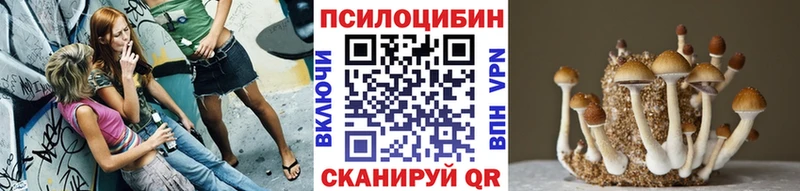 Галлюциногенные грибы GOLDEN TEACHER  блэк спрут как зайти  Холм  купить  сайты 