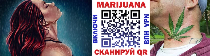 Бошки Шишки SATIVA & INDICA  купить наркотик  ОМГ ОМГ онион  Холм 